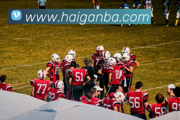 nba投注网站平台生态图