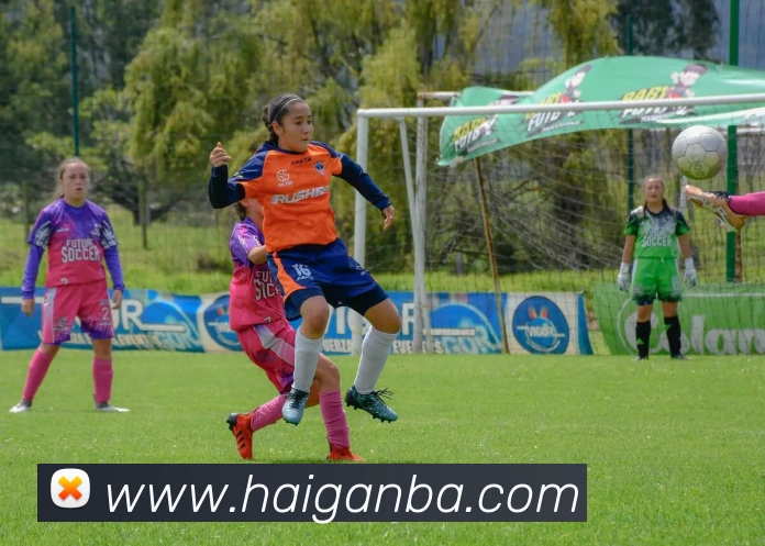 nba投注网站全站App nba投注网站全站App