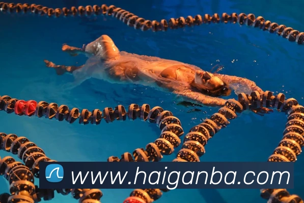 辅助工具 辅助工具